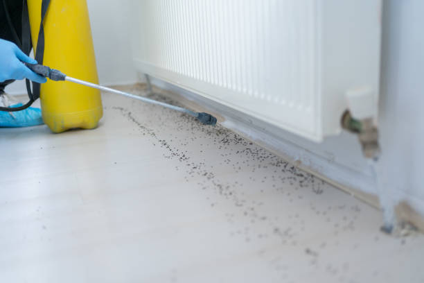 Best Best Pest Control Companies  in Nash, TX
