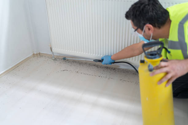 Best Wasp Removal Services  in Nash, TX